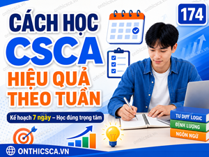 Cách học CSCA hiệu quả theo tuần