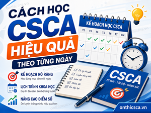 Cách học CSCA hiệu quả theo từng ngày