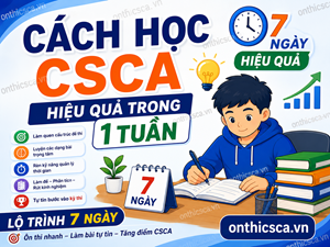 Cách học CSCA hiệu quả trong 1 tuần
