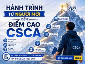 Hành trình từ người mới đến điểm cao CSCA