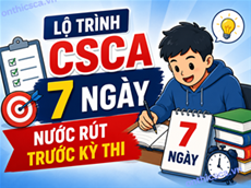 Lộ trình luyện CSCA 7 ngày nước rút trước kỳ thi