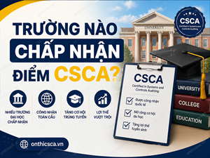 Trường nào chấp nhận điểm CSCA?
